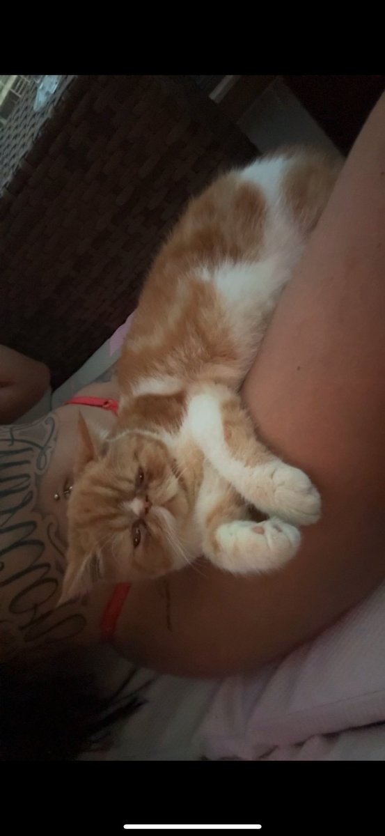 barcarool's tweet image. q colin gostoso mamainn