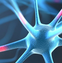 #Philosophy and #Brain: The #World Brain Relationship as Non-Reductive #Neurophilosophy – #Interview with Georg Northoff

static1.squarespace.com/static/528facb…