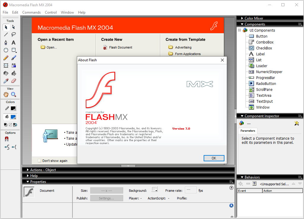 Macromedia Flash MX in 2004. One of the most modern programs at that time.
