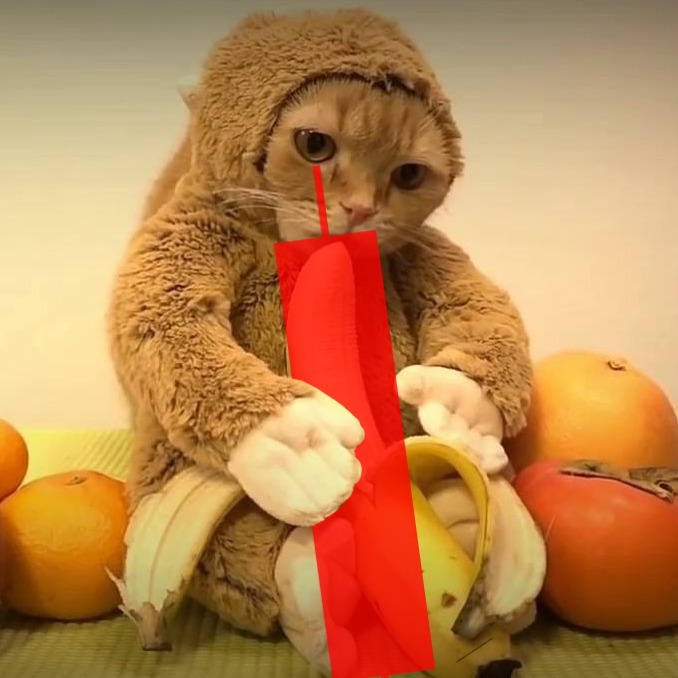 MonkeyCatSolana's tweet photo. Sad Monkecat is eating the red candles

But monkes strong together, we will get those bananas https://t.co/k7lDDgXX4I