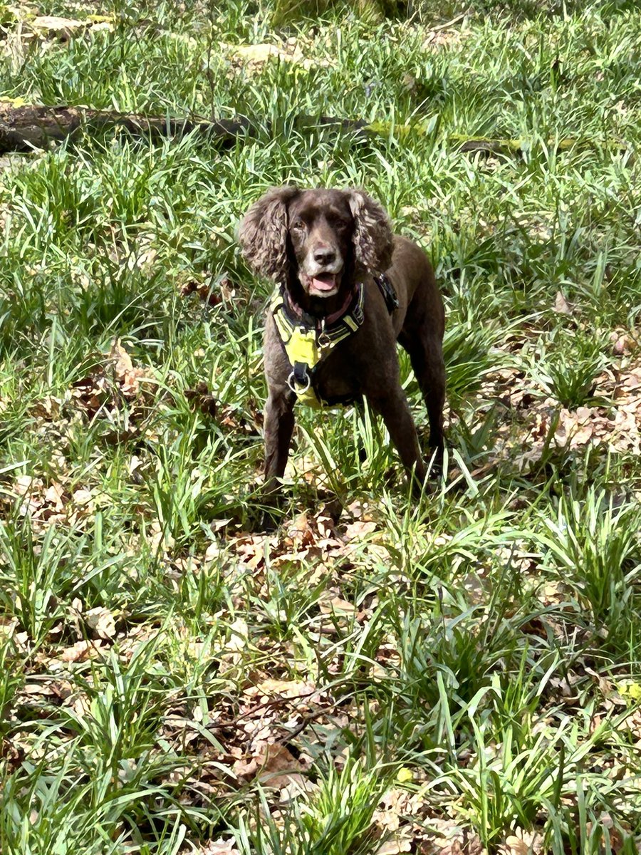 Good morning palz here’s my photo taken on Easter Saturday #Tongueouttuesday #April #longerdays