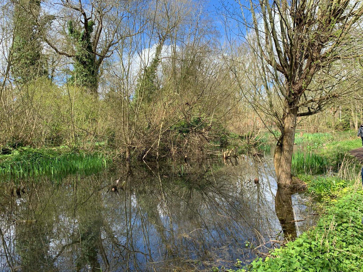 OliviaRMW's tweet photo. Such a lovely long weekend doing fab family things! Thank you @TreasureTrails for a great walk -we went to the end of the @TfL #metline - I’d never been to Chesham before, such a pretty, historic town centre. https://t.co/cDUHKh4E9K https://t.co/p8vakoFK7S