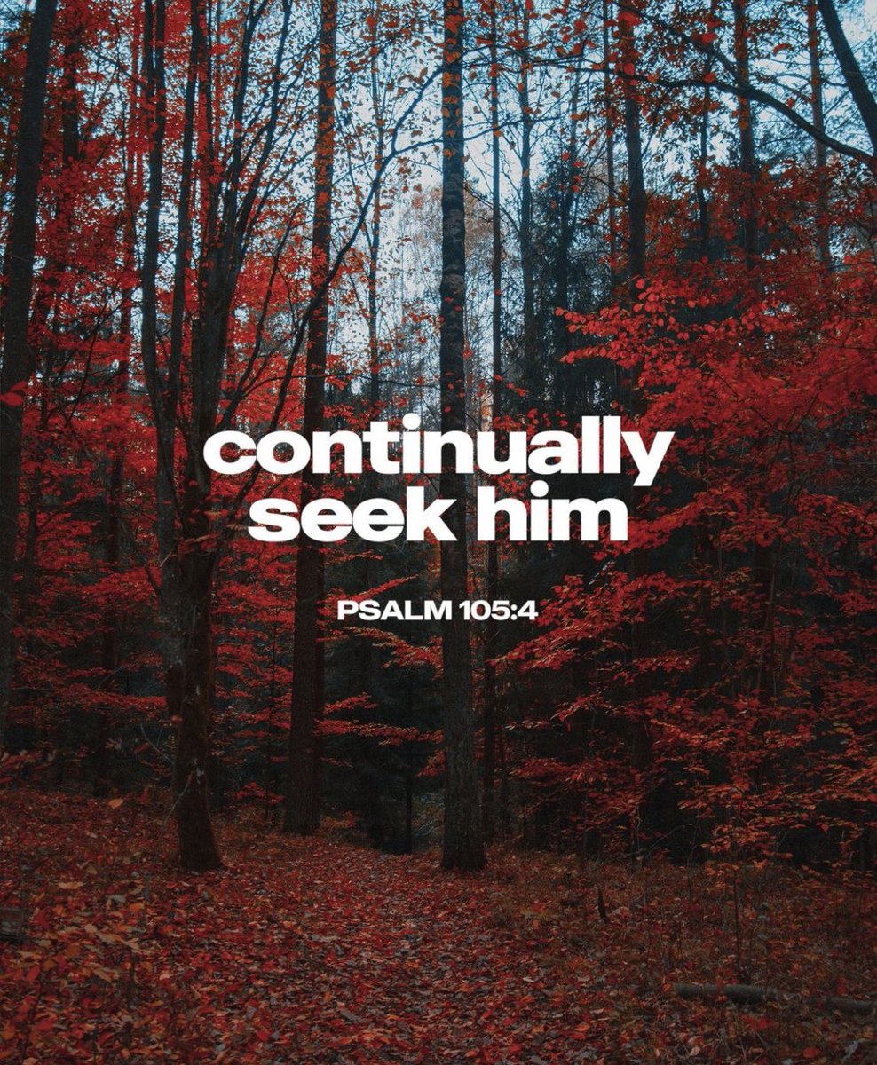 “Seek the Lord and his strength; seek his presence continually!” Psalm 105:4 ❤️🔥Image from biblescapes. #GodIsNear #Seek #Find
