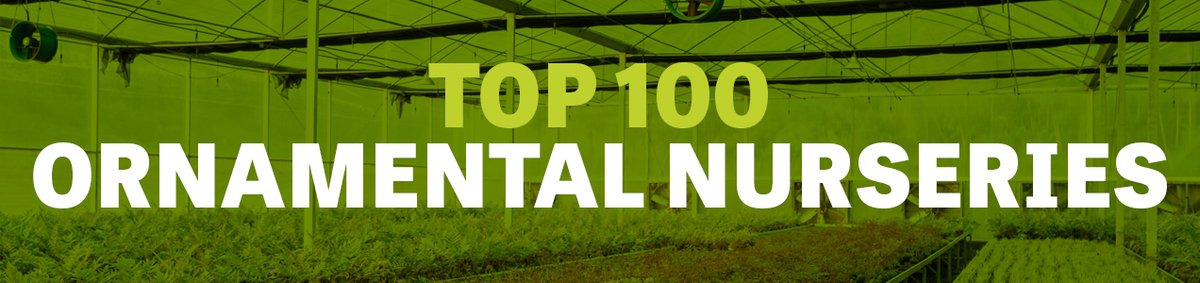 HortWeek EXCLUSIVE: Top 100 Ornamental Nurseries report reflects a year of consolidation and tricky trading in 2023 hortweek.com/article/1866841 #Horticulture @HTAnews @BPOA_homegrown @BritishGrowers @NFUHortPots