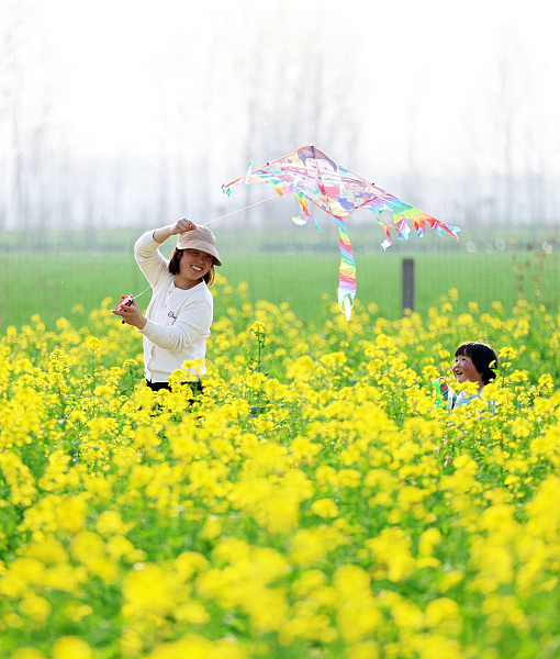 LinyiOfficial's tweet photo. In #Linyi's Dagaozhuang village, rapeseed flowers bloom as children frolic and play in the fields. It's a picturesque scene of rural joy and springtime delight. #SpringInLinyi https://t.co/Kcrz1xghDL