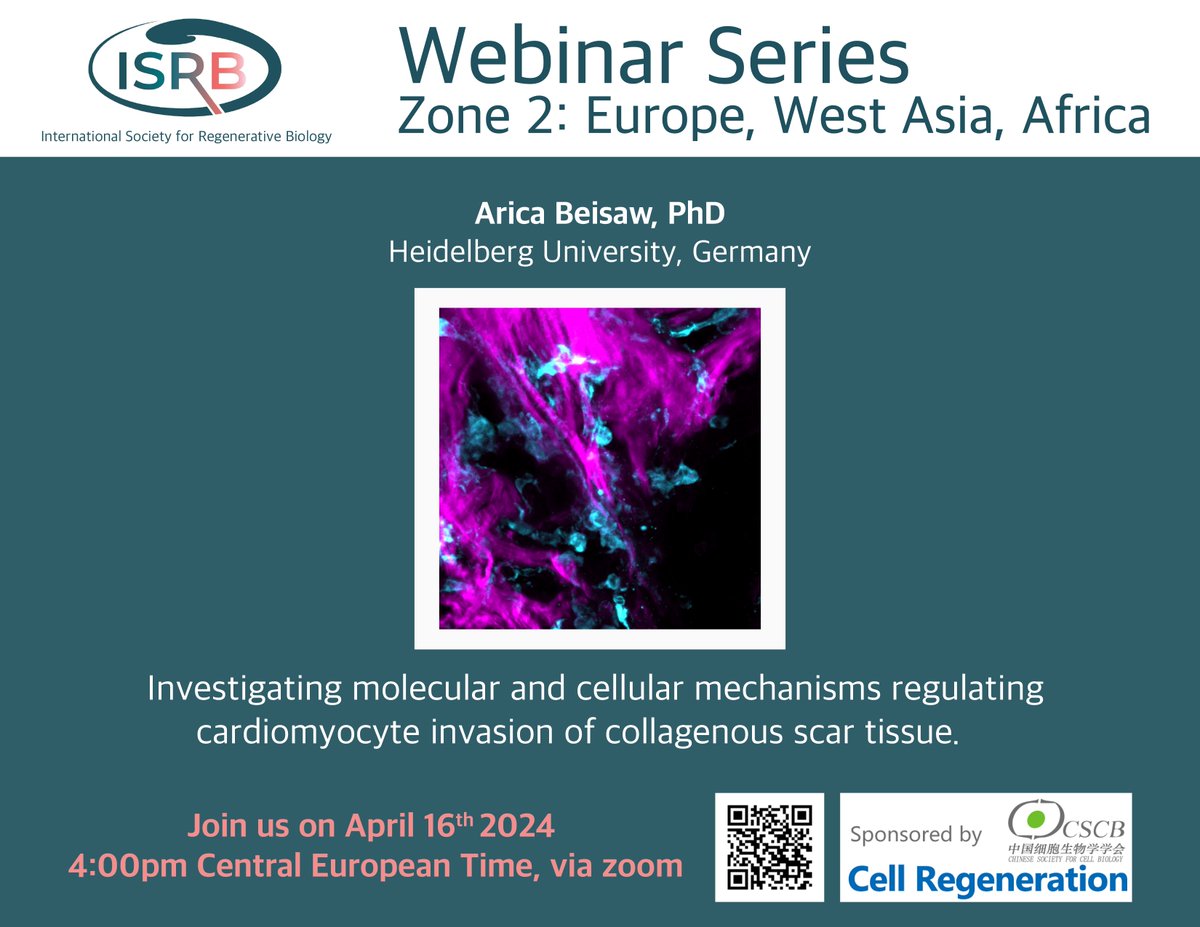 ISRB Webinar Zone 2, April 16th, 4pm Central European Time, featuring @ABeisaw #HeartRegeneration #CardiacTissue