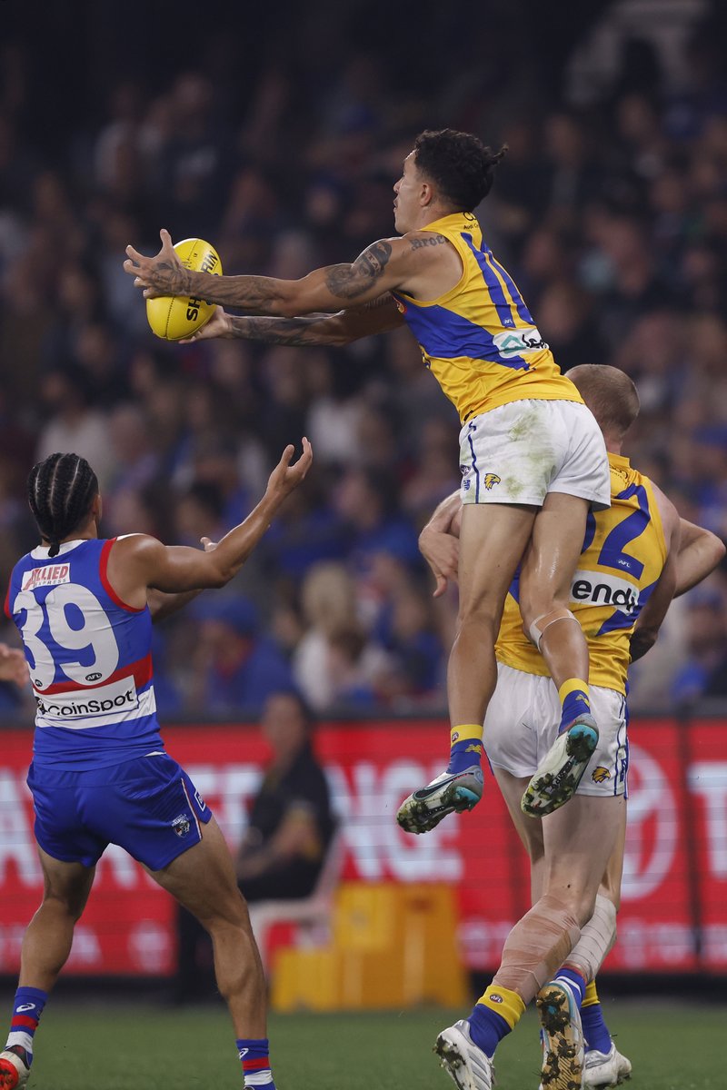WestCoastEagles's tweet image. Tyler Brockman has been nominated for Mark of the Year! 

Watch the mark and vote --&amp;gt; westcoasteagles.com.au/news/1521015/v…