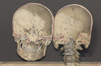 BDL (@bibdiderotlyon) on Twitter photo #numérisation #patrimoine #éducation
Livre numérisé du mois: " Anatomie iconoclastique : atlas complémentaire de tous les ouvrages traitant de l'anatomie et de la physiologie humaines composé de planches découpées, coloriées et superposées. bit.ly/1J0MRAN #numérisation #patrimoine #éducation
Livre numérisé du mois: " Anatomie iconoclastique : atlas complémentaire de tous les ouvrages traitant de l'anatomie et de la physiologie humaines composé de planches découpées, coloriées et superposées. bit.ly/1J0MRAN