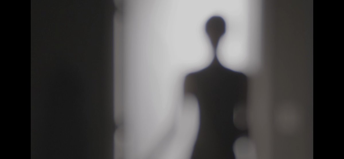 킬리만자로 tweet media