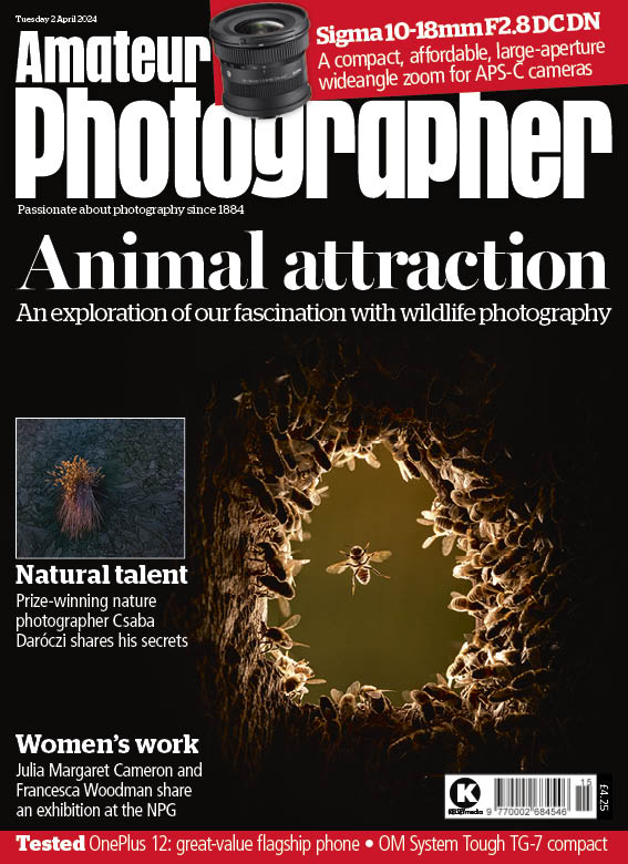 Amateur Photographer (@ap_magazine) on Twitter photo New issue on sale! Macro fans won’t want to miss our big feature on the current <a href="/CUPOTYawards/">Close-up Photographer of the Year</a> winner, Csaba Daróczi. Plus, our in-depth reviews include the latest OM System Tough camera and the Sigma 10-18mm F2.8 DC DN lens. Get your copy: shop.kelsey.co.uk/single-issue/a… New issue on sale! Macro fans won’t want to miss our big feature on the current <a href="/CUPOTYawards/">Close-up Photographer of the Year</a> winner, Csaba Daróczi. Plus, our in-depth reviews include the latest OM System Tough camera and the Sigma 10-18mm F2.8 DC DN lens. Get your copy: shop.kelsey.co.uk/single-issue/a…