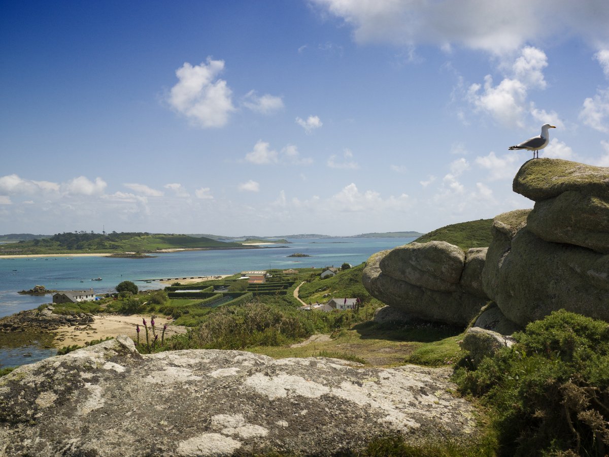 There’s plenty of Cornish history still to be unearthed, and some of it might surprise you. In our latest blog, Jake Hall looks at the under-discussed queer literary legacies. ⬇️ bit.ly/CornwallsQueer…