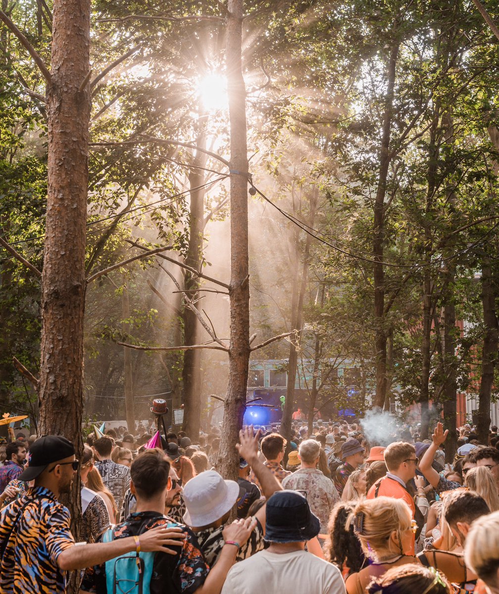 What’s in the box?… 🌲🗝️🌲 This Wednesday, at midday, we welcome 16 more bands and artists into the fold, as the tapestry of the forest grows ever richer and the story of your future gets ever closer…