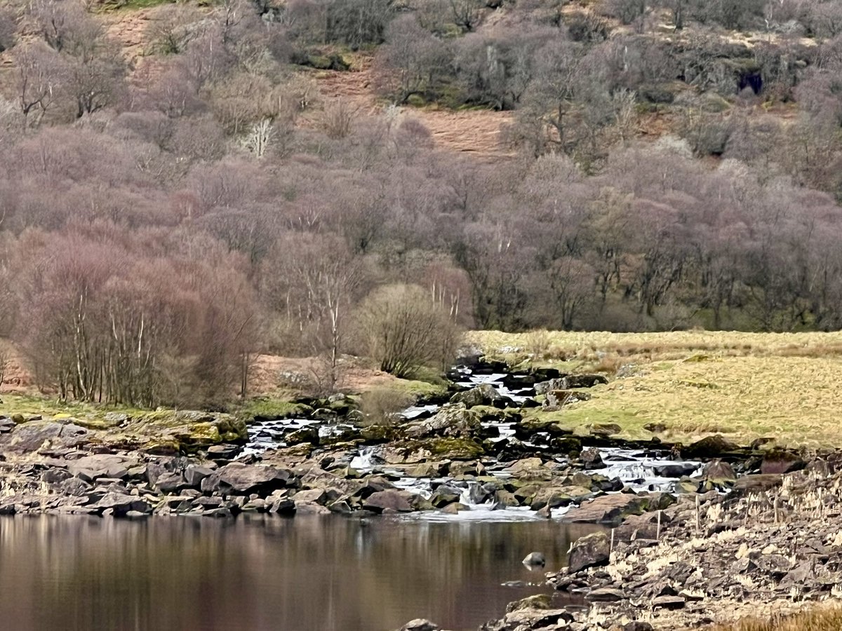 Some of my pictures on the way
To Pwllheli today.