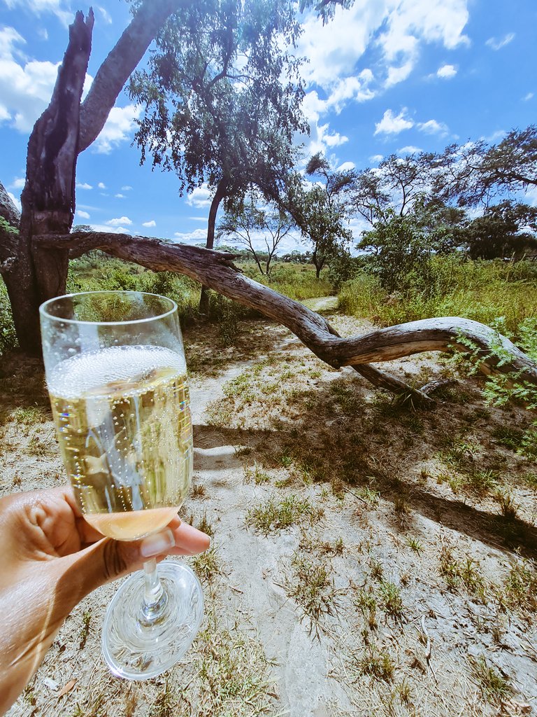 I can't believe it took me 2 years to finally go to Wild Day Spa. Shoutout to my friends &amp; family that gifted me this special treat in the bush. ❤️😊

#WildDaySpa #hiddengems
