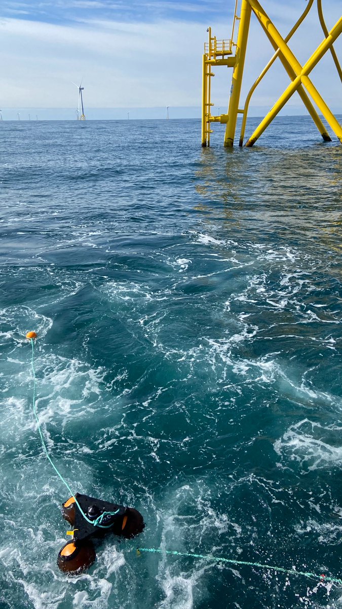 The #PrePAREDProject (Predators and Prey Around Renewable Energy Developments) team review their recent event feedback and start preparing for offshore summer survey activity in their March blog 
➡️owecprepared.org/2024/03/28/mar…