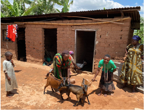 tanzdevtrust's tweet image. #TDTPhotoComp📸

This women’s group in Kalinzi, Kigoma🇹🇿 started with 28 goats funded by @tanzdevtrust in 2021🙌 

Now the 25 group members have 120 goats🐐🥳

💡Read more about this and other projects funded by @tanzdevtrust here: tanzdevtrust.org/projects/

#TDTProjects #TDTGoats