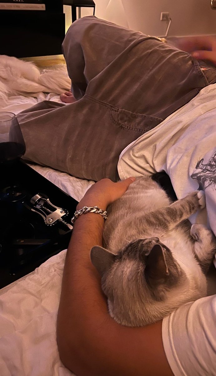 nomeeolvidees's tweet photo. 🐈🐈. https://t.co/4Eli5h3JDl