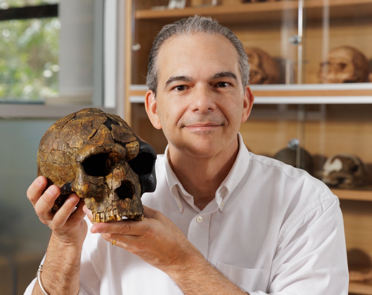 🌍 Join us for the ARWA Lectures on the Arabian Peninsula! Our first guest is Prof. @MDPetraglia April 3, at 12 pm CET 'Early Pioneers: What we know about hominin occupations in Arabia over the last 500,000 years' Zoom link: us02web.zoom.us/j/83540923776 ID:83540923776 PW:073941