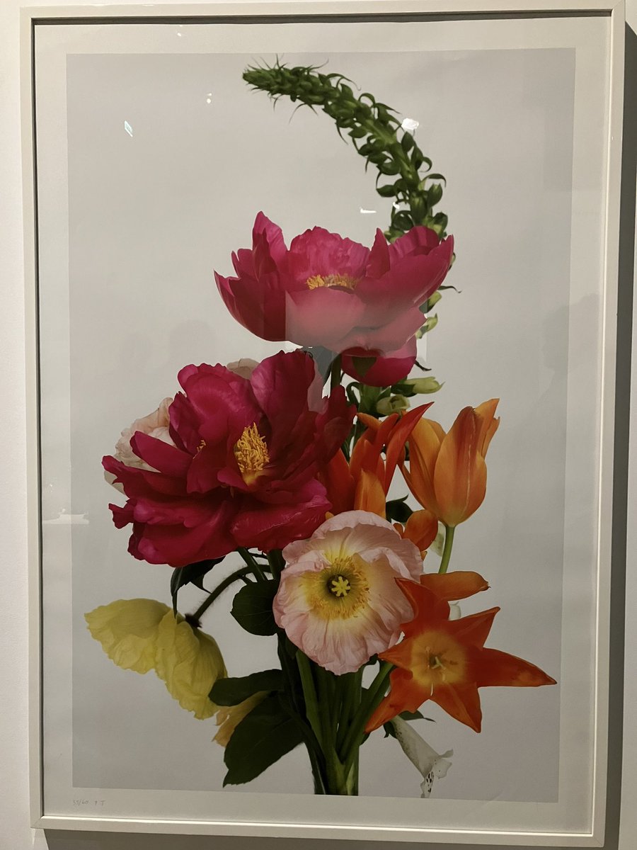 Fra_Raynaud's tweet photo. Belle découverte de l’exposition Mirabilia au #Cyel. À visiter absolument pour grands et petits avec les ateliers proposés. @larochesuryonfr https://t.co/63RVRSbHhB