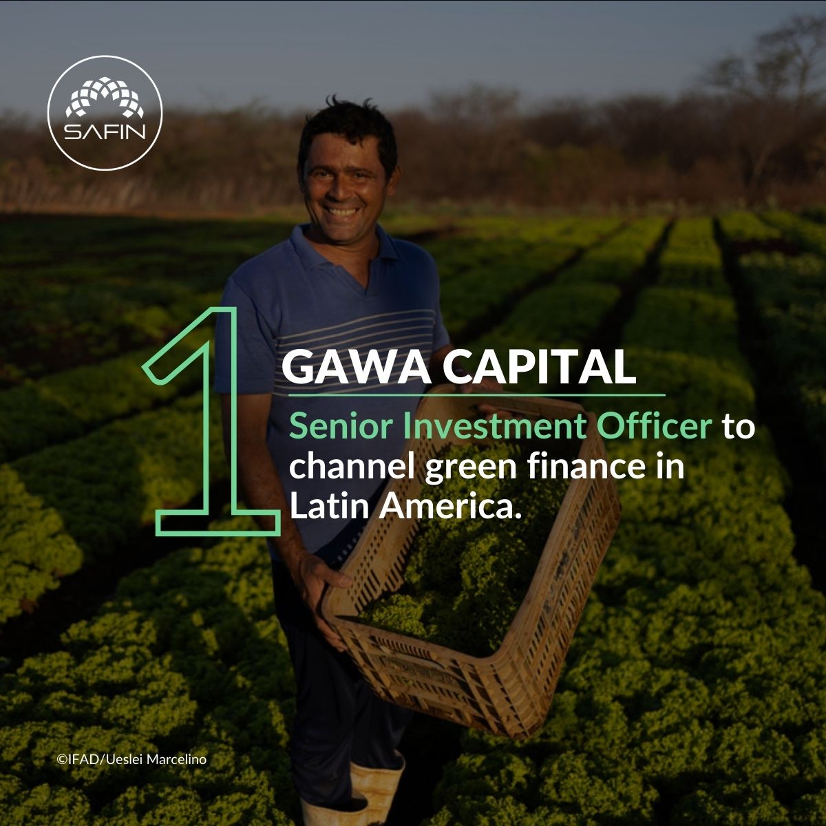 @GAWACapital is hiring a senior investment officer to lead its work in  catalysing climate resilience and financial inclusion across Latin  America.
👉 gawacapital.com/_files/ugd/570…

#SAFIN