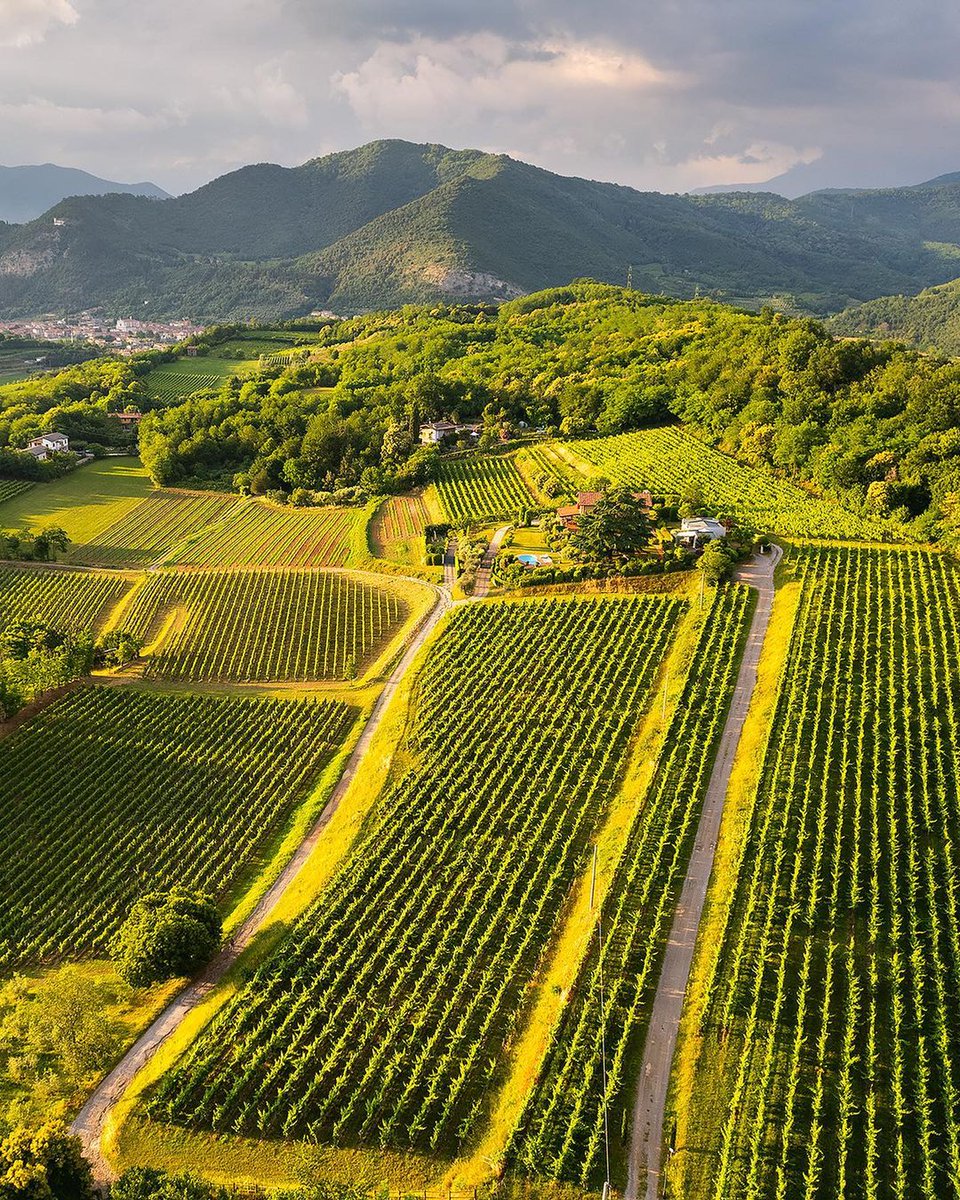 Awaken your senses with a food and wine trip to Lombardy. 🍷 Surrounded by unforgettable landscapes, Franciacorta wine cellars await you with their excellent products ▶️ bit.ly/4a3UYue 📍@inLOMBARDIA 📷 IG michelerossettiphotography #ilikeitaly #travelinitaly #EatIT