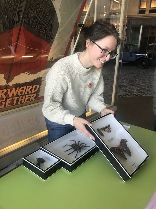 📢 What's On for Families 🦋
Tuesday 2nd April, 1.30-4pm, FREE
Meet the Zoology Curator: Spring animals. Handle museum specimens and learn why Glasgow's Spring animals are important for nature.

#WhatsOnForFamilies @Museum_Learning
