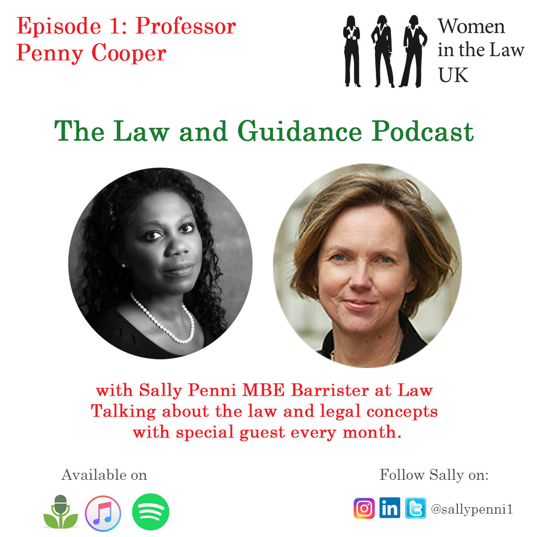 The #LawandGuidance #Podcast - @sallypenni1 interviews Professor Penny Cooper about the #laws surrounding the use of #intermediaries. Click here to listen now: ow.ly/Hzk730sAWpe #SallyPenni #CriminalLaw #Law #lawfirms #legalexpert @LawGuidePodcast ow.ly/G13b30sAWpg