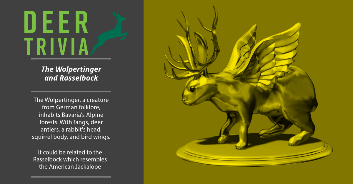 BritishDeerSoc's tweet photo. Deer Trivia: The Wolpertinger and Rasselbock
Did you know about the Wolpertinger and the Rasselbock? These mythical creatures from German folklore have a mix of deer, rabbit, squirrel, and bird features! #DeerTrivia #Wolpertinger #Rasselbock #GermanFolklore 🦌🐰🐿️🕊️ https://t.co/XtWDOSKxYh