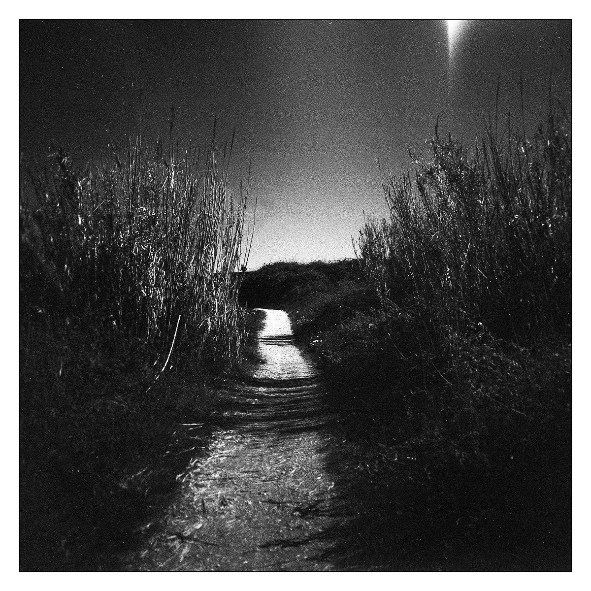 leobellandi's tweet photo. #lidodivenezia #holga120 #rodinal #developedathome #paesaggioitaliano #fotografiaanalogica #6x6 #filmphotography #experimentalphotography #plasticcamera https://t.co/XwPLjUsg9p