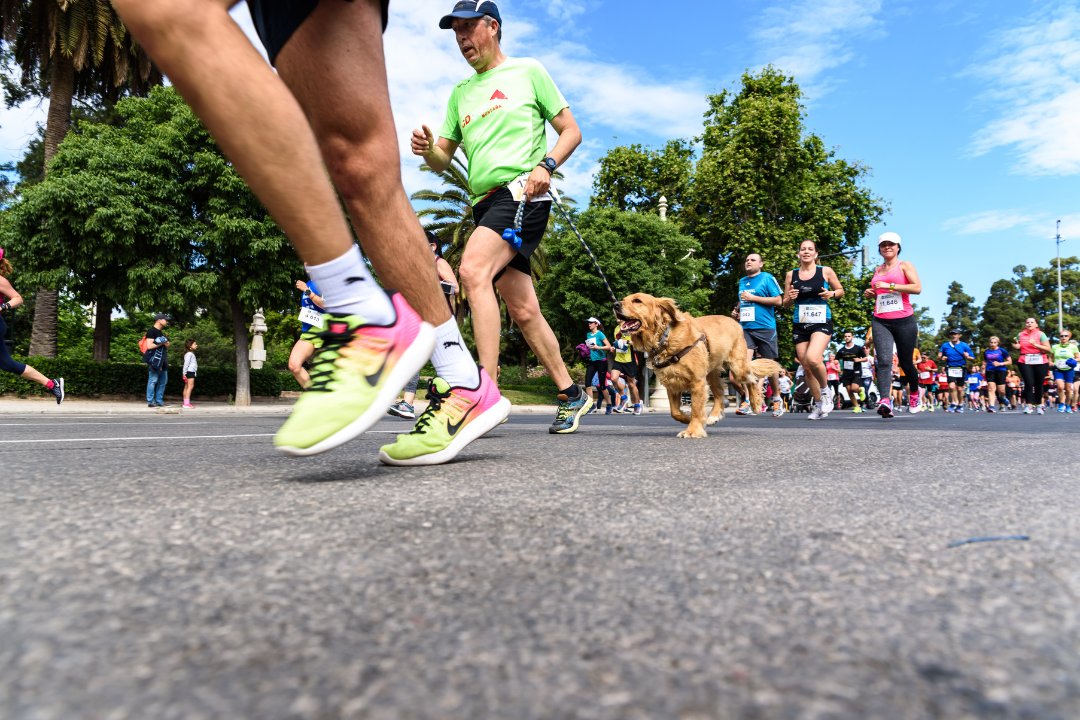 We are proud to be the 2024 TCS London Marathon Charity of the year. On Sunday 21 April, we will be walking 26.2 miles in Bury for #TeamSamaritans and inviting pet pooches to partake in a 1-5 mile leg! 🐶 Read more about the Bury Poochathon here: t.ly/Mfa2e 🦮🐶💚