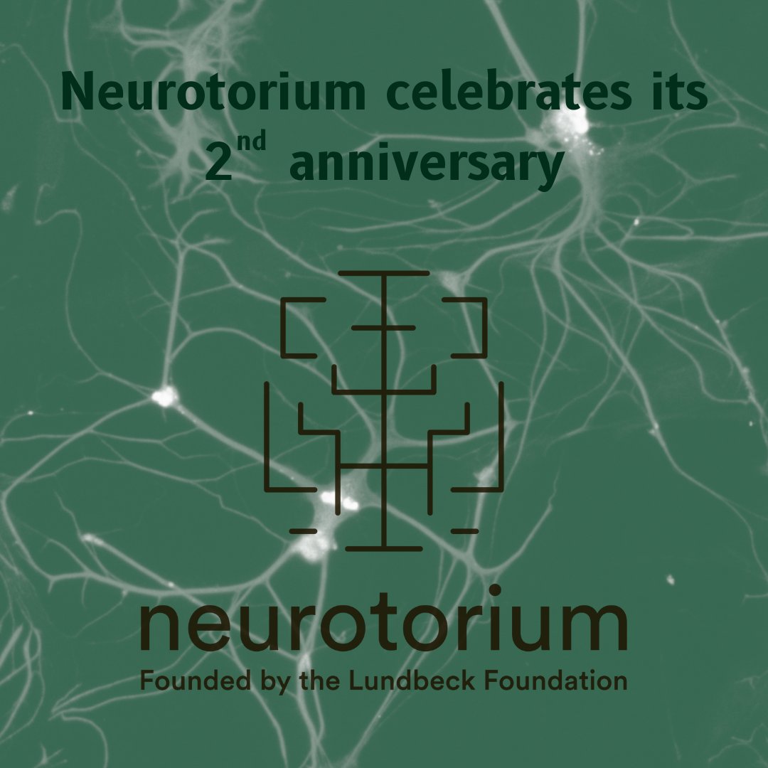 Neurotorium celebrates its 2-year anniversary Since April 2022, Neurotorium has provided educational slide decks, articles, images, and videos to more than 20.000 monthly users in more than 190 countries! Celebrate with us - check out our website: neurotorium.org