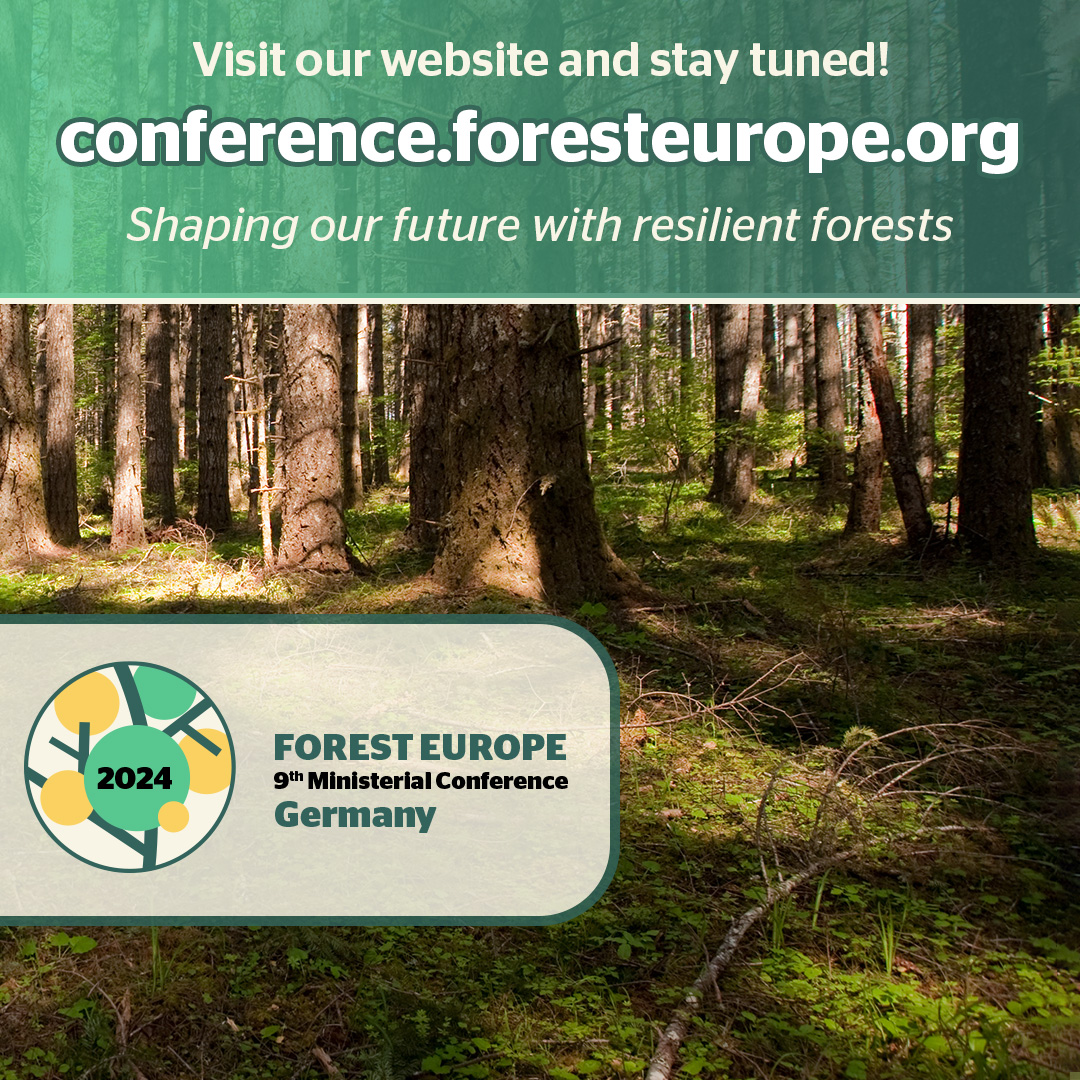 🌲 The 2nd FOREST EUROPE Ministerial Conference wrapped up in #Helsinki in 1993. We committed to closer #cooperation among European states and international organizations for sustainable #forestmanagement (1/3) #9MC