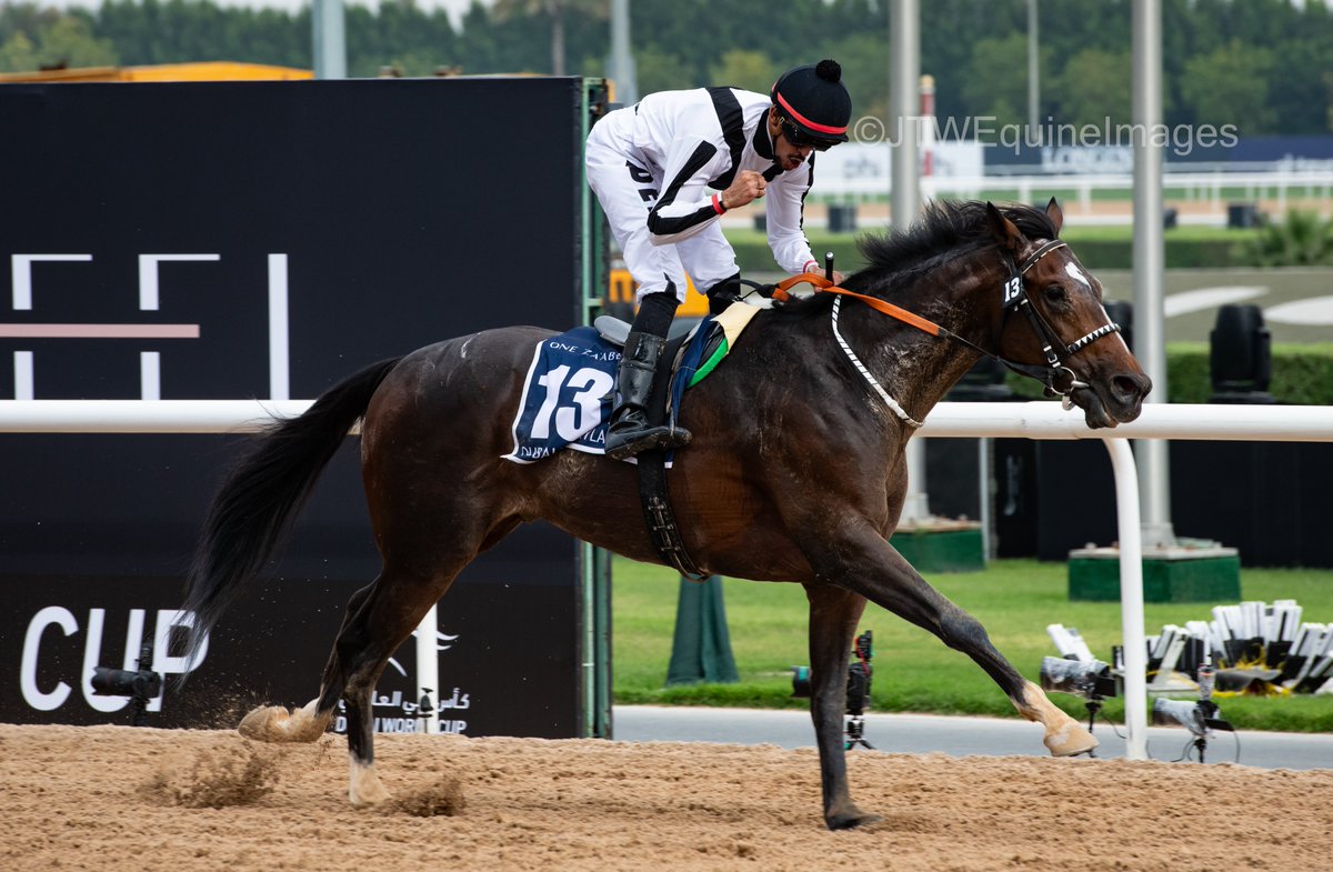 Tilal Al Khalediah and jockey Adel Al Furaydi win the 2024 Dubai Kahayla Classic sponsored by One Za'Abeel for owner Mr Hamad Ali Murshed Khamis Al Marar and trainer Hamad Al Marar. #DWC24 #KahaylaClassic