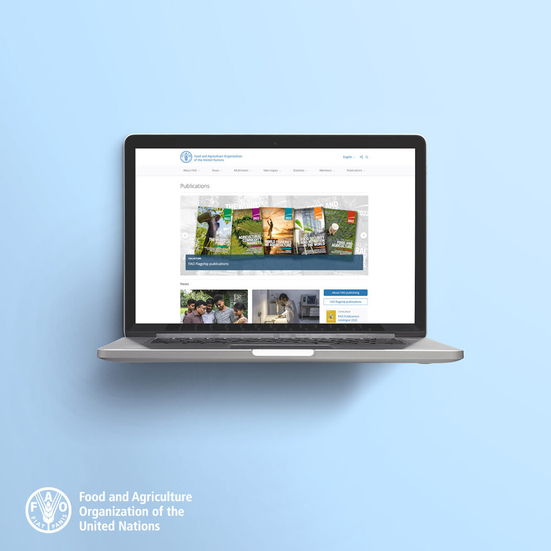 Interested in the latest research on food security, agrifood systems, animal health and related topics? Then @FAO's Publications page is the place to visit (and stay a while) 👉 fao.org/publications/en