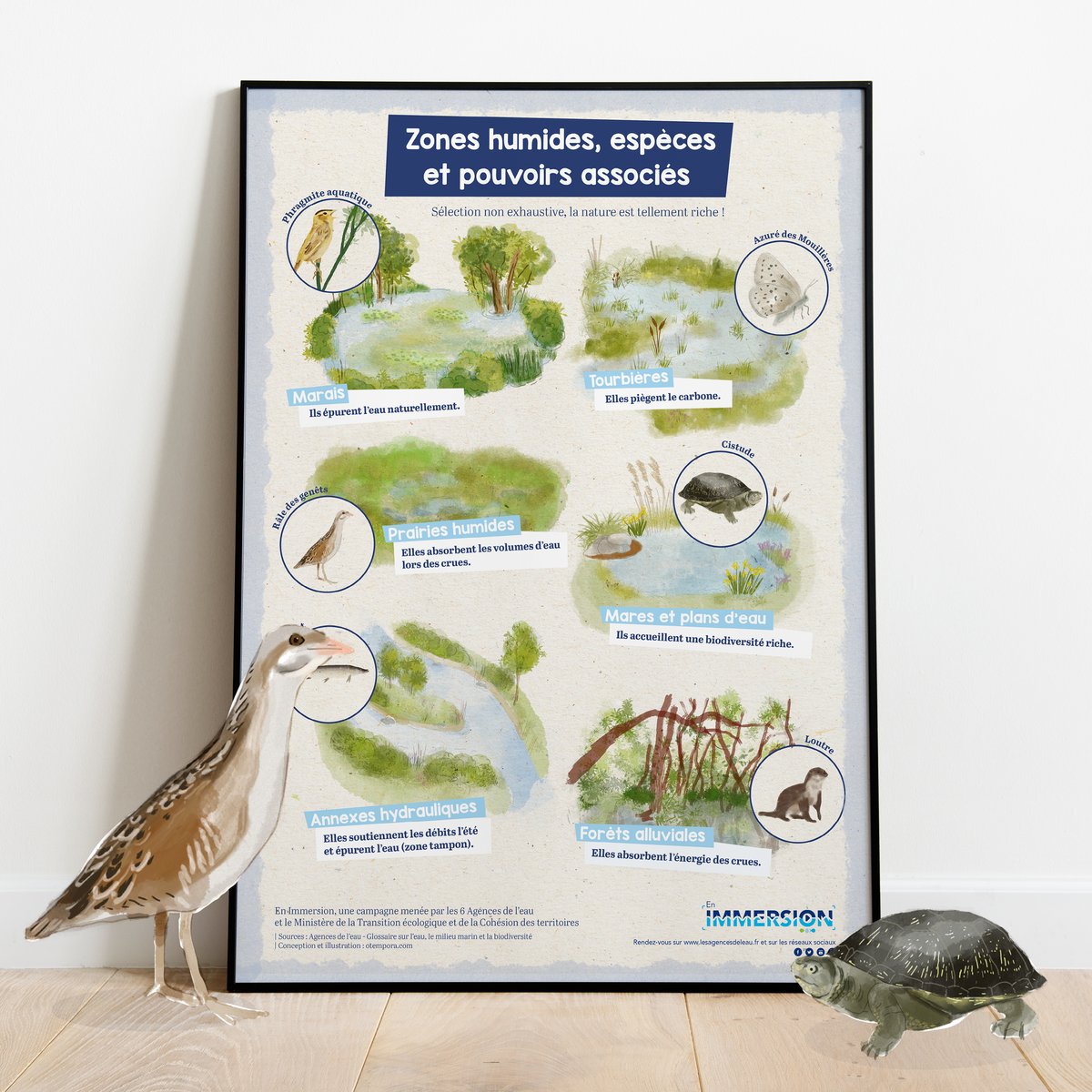 Nous vous l'avions promis : les aquarelles des zones humides, des services et espèces associés sont désormais disponibles en poster ! 😍 Imprimez-le et affichez-le où bon vous semble, nous serons ravis de repartager vos photos 🎨 

➡️ À télécharger ici : lesagencesdeleau.fr/ressources/pos…