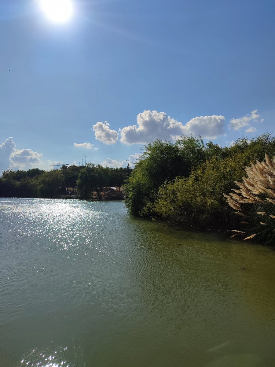 cagri (@ozgur_34_24) on Twitter photo 