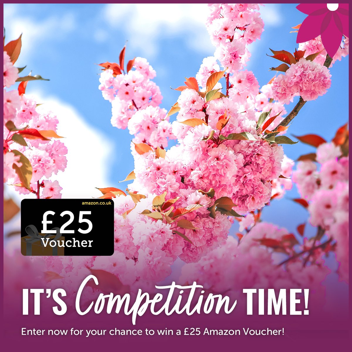 £25 Competition Time! 🏆 To enter, all you need to do is:
- Like the post.
- Comment: 'Entered' in the comment section below.
- You can also share the post!
- You can also follow our page (for more competitions!)
Good luck to everybody who enters 🤞!
#homecare #competitionuk