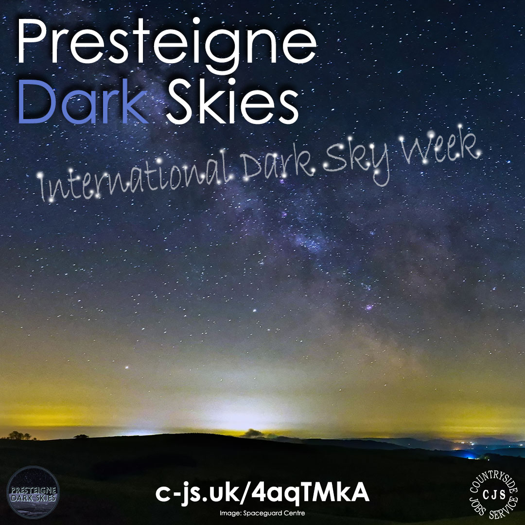 Not only does minimising light pollution help nocturnal wildlife, it also saves energy, money, and greenhouse gas emissions! What’s not to like?! It’s #internationaldarkskyweek and we’re getting to know more about how Presteigne darkened their skies: c-js.uk/4aqTMkA