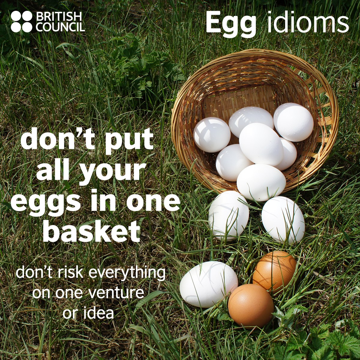 🍳It's time to look at some #egg idioms! Can you make any sentences with these idioms? Share them in the comments and we'll tell you if they're correct! #easter #eastereggs #easteregghunt #idioms #englishtips #vocabulary #learnenglish #englishlanguage