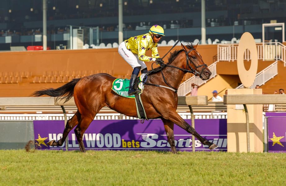 Hollywood Syndicate tweet media