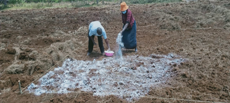 kalromkulima's tweet photo. Soil Fertility and Plant Nutrition which focuses on maintenance and improvement of soil fertility and health, enhancement of fertilizer use efficiency and improvement of soil-based constraints to crop production through soil analysis. https://t.co/Z56vZbL2ng