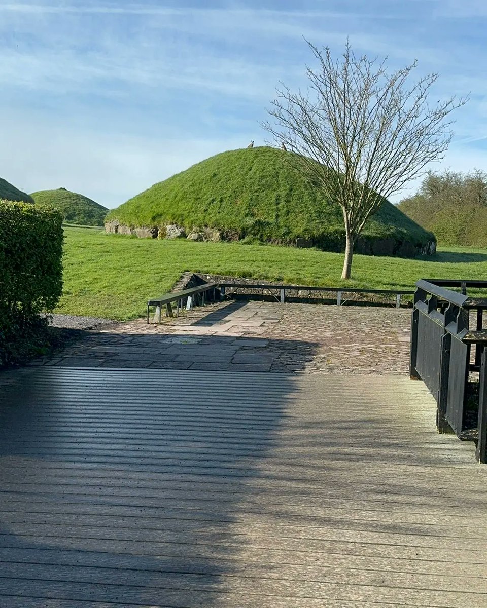 After a very foggy morning at Knowth, the sun has broken through, and it has revealed the most spectacular day. Even the hares have come out to bask in the sunshine🐇☀️📷 Ailbhe #knowth #jewelsofhistory #irelandsancienteast #keepdiscovering #ireland #blueskies #foggymorning