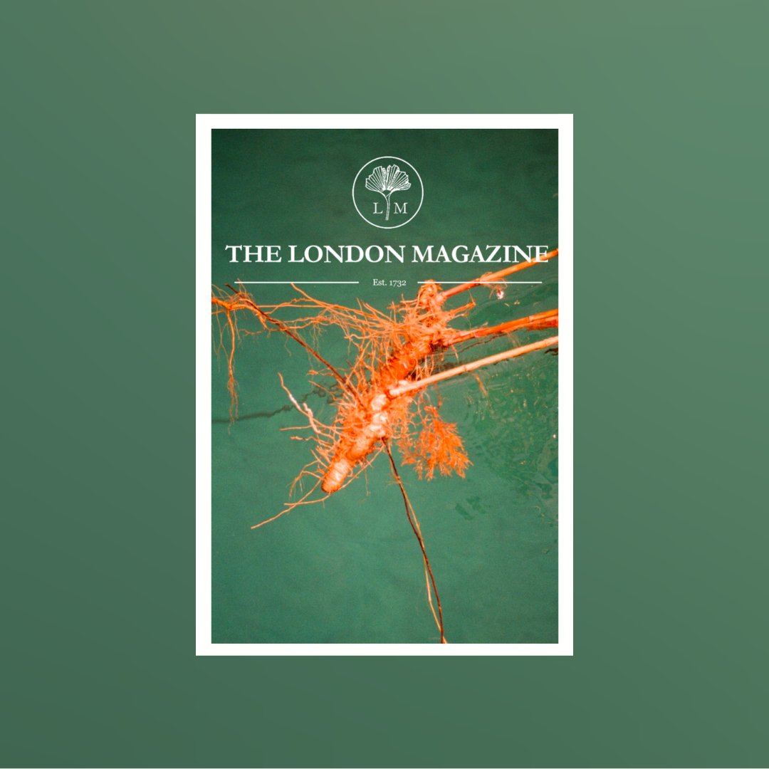 Our April/May 2024 issue is OUT NOW 🍊 

Cover image by Holly Pollard  

Order here: thelondonmagazine.org/product/curren…