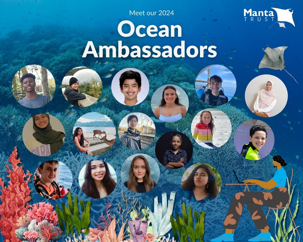 🔗 Learn more about our new Ocean Ambassadors by visiting the link below! 👉bit.ly/4azq50z We would like to thank 71Blue Foundation, The Paul M. Angell Family Foundation and The Ernest Kleinwort Charitable Trust for supporting our education initiatives.