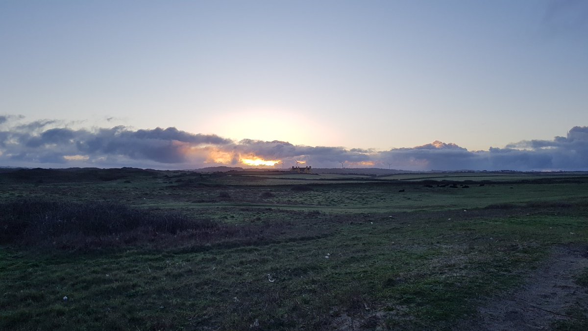 Early walk out to Sker to see the Golden Plover. Nice to see a few Purple Sands, Turnstones.