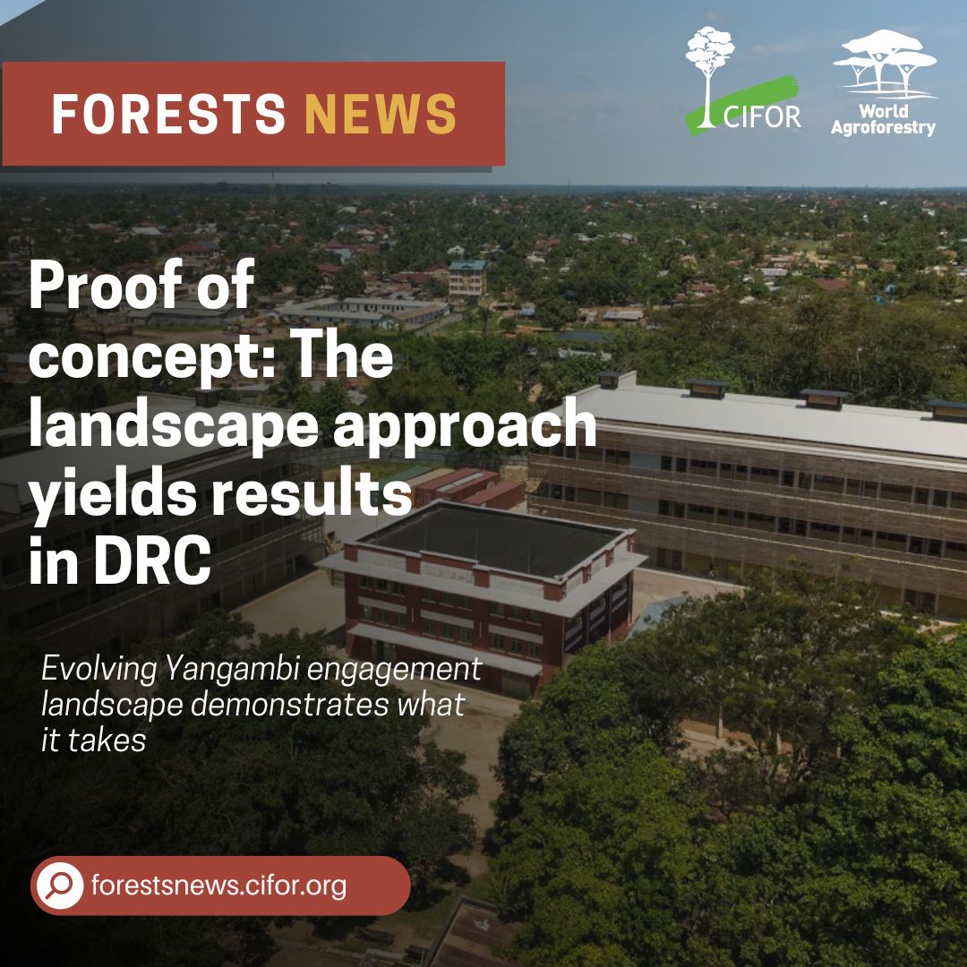 TheLandAlliance's tweet photo. What started 17 years ago as a capacity-strengthening project has evolved into an intricate web of activities co-designed with local communities to develop sustainable forest- and tree-based bioeconomies.

Read more: https://t.co/5oCotN4tDJ

#TreesPeoplePlanet https://t.co/10DoOzO9m6