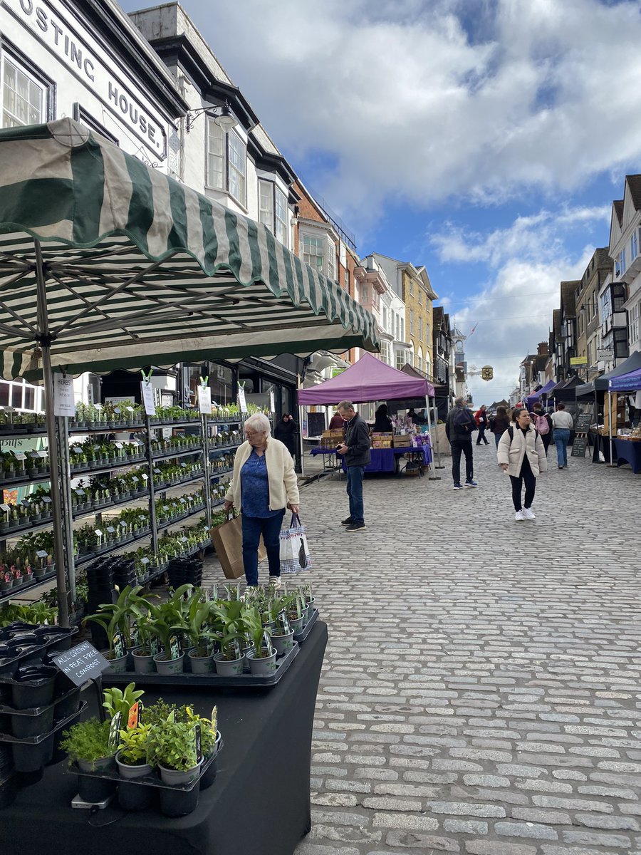 Come and find me in Guildford High St today where I’m selling with the Farmers’ Market and have 120 different herbs to choose from 🪴🪴🪴

#GardeningTwitter #GardeingX  #gardening #guildfordbc #experienceguildford #herbs