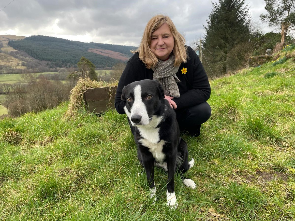🏆The Holyrood Dog of the Year Pawblic Vote is live! 🏆 @jenni_minto tells us that Jim is an enormously affectionate friendly boy who is great with kids and other dogs. To vote for Jenni Minto MSP and Jim, visit thekennelclub.org.uk/hdoty #hdoty #mspdogoftheyear @DT_Pawlitical