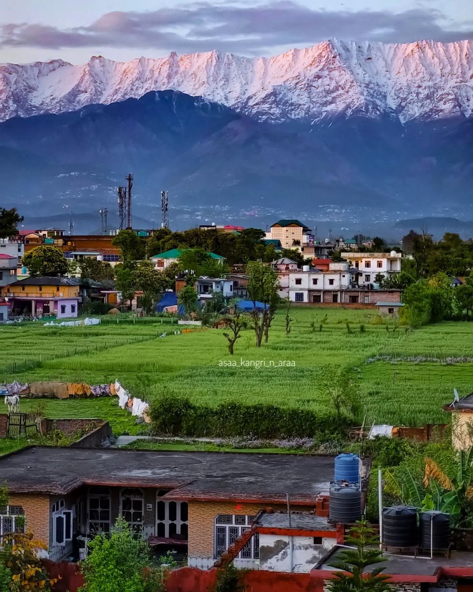 The view of beautiful village Kangra and dhauladhar mountain in dharamshala 😍