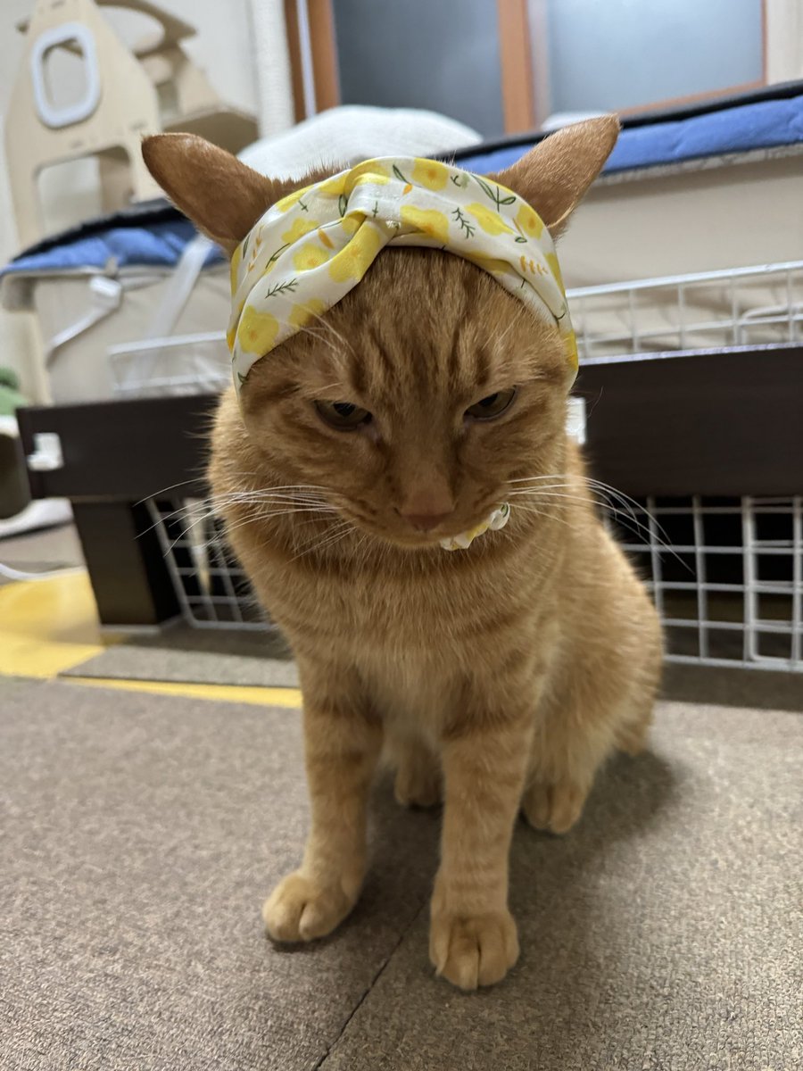 ㅋㅋㅋㅋㅋ 귀여워^^